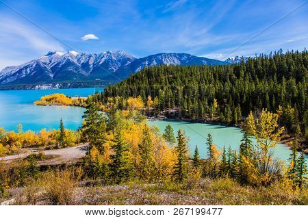 The picturesque Abraham lake in the mountain valley of the Rockies. The emerald water of the lake is surrounded by evergreen coniferous forests. Concept of active, ecological and photo tourism