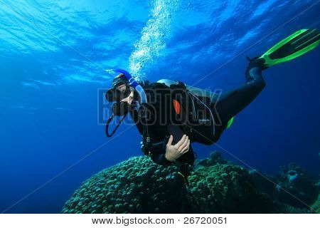 Płetwonurek bada Coral Reef