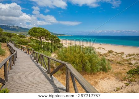 Landscape Of Beach In Cadiz With Footbridge In Forest