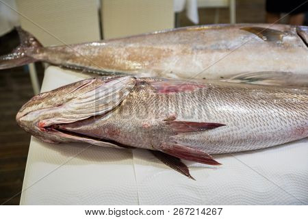 Two Big Fresh Raw Fish Corvina And Greater Amberjack On Table