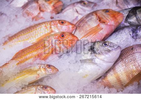 Fresh Raw Fish In Ice