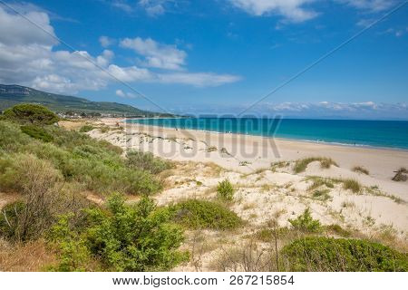 Landscape Of Bolonia Beach In Cadiz From The Forest