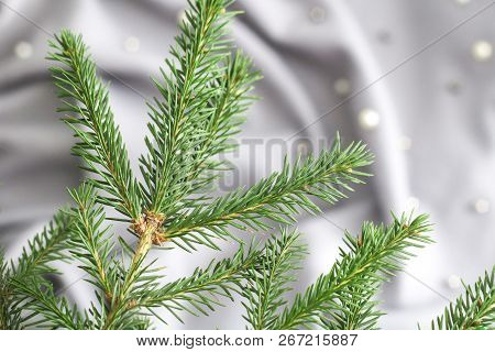 Green Branches Of Spruce With A Cozy Warm Knitted Scarf, Place For Text. Rustic Christmas Tree And W