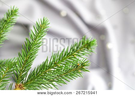 Green Branches Of Spruce With A Cozy Warm Knitted Scarf, Place For Text. Rustic Christmas Tree And W