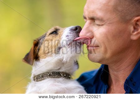 Little Dog Licks Human Face. Man With His Dog Playing In The Park. Owner Hugs His Pet.