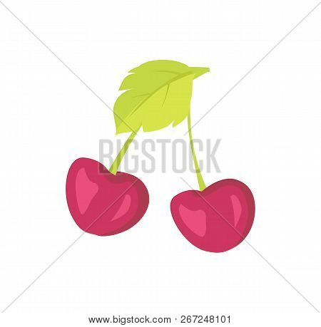 Ripe Cherry Berry On Stem With Leaf. Tasty Juicy Food Grown On Tree Full Of Vitamins. Product From G