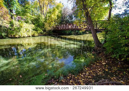 Bridge Overlooking A Small Creek At The Maple Grove Arboretum On A Sunny Autumn Day.