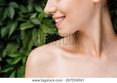 Smile Of Young Beautiful Woman With Green Leaves At Background