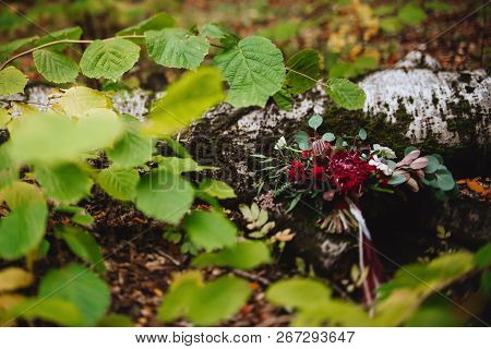 Autumn, Bridal Bouquet, Autumn Bouquet, Wedding, Composition Flowers And Berries Designgold Autumn