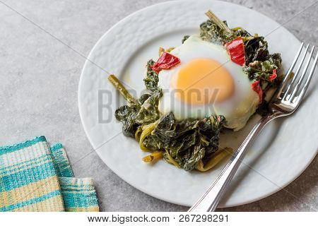 Turkish Food Spinach With Egg