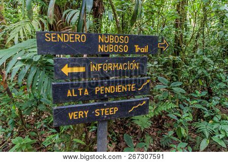 Signs At Hiking Trails In A Cloud Forest Of Reserva Biologica Bosque Nuboso Monteverde, Costa Rica