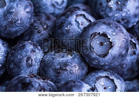 Fresh Ripe Blueberries With Drops Of Dew. Berry Background. Macro Photo.