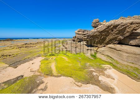 Green Rocks In Trafalgar Cape Next To Ocean In Cadiz