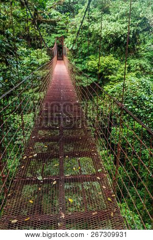 Suspension Bridge In The Cloud Forest Of Reserva Biologica Bosque Nuboso Monteverde, Costa Rica