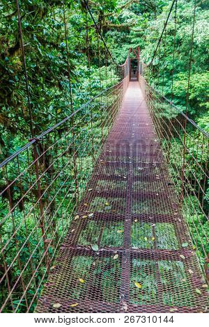Suspension Bridge In The Cloud Forest Of Reserva Biologica Bosque Nuboso Monteverde, Costa Rica