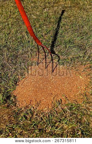 A Red Three Tined Grain Fork Is Thrust Into A Pile Of Spilled Wheat Kernels