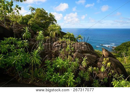 Anse Major Trail, Hiking On Nature Trail Of Mahe, Seychelles