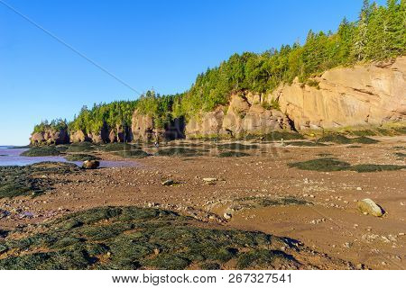 Hopewell Cape, Canada - September 24, 2018: View Of Hopewell Rocks At Low Tide, With Visitors. New B