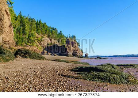 Hopewell Cape, Canada - September 24, 2018: View Of Hopewell Rocks At Low Tide, With Visitors Stroll