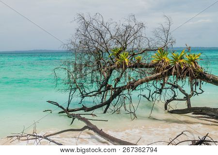Coast Of Isla Zapatilla Island, Part Of Bocas Del Toro Archipelago, Panama