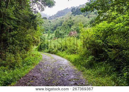 Road Near Bajo Grande Village Near Baru Volcano, Panama