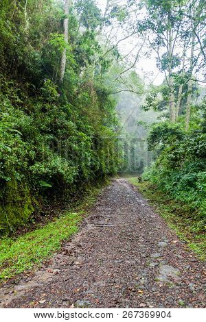 Small Road In National Park Volcan Baru, Panama