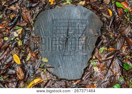 Anti Slip Measurements At Hiking Trail Sendero Los Quetzales In National Park Volcan Baru, Panama.