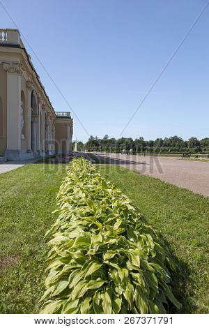 Strelna, St. Petersburg, Russia - August 09, 2018: The Territory Of The State Complex 