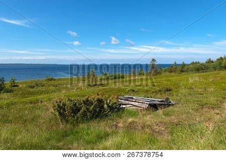 The Coastal Strip Of The White Sea And Tundra Vegetation On The Island Of Anzersky