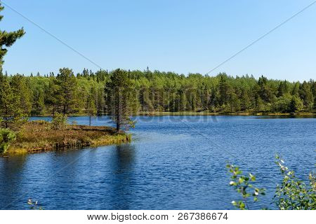 Forest Lake And Vegetation On Anzersky Island, Arkhangelsk Region, Russia