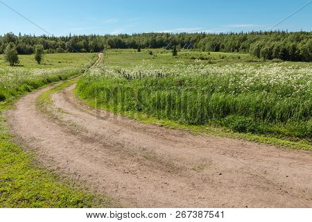 Forest Road At Trinity Monastery On Anzersky Island, Arkhangelsk Region, Russia