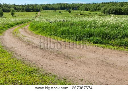 Forest Road At Trinity Monastery On Anzersky Island, Arkhangelsk Region, Russia