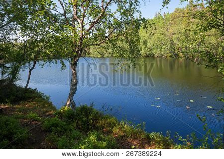 Forest Lake And Vegetation On Anzersky Island, Arkhangelsk Region, Russia