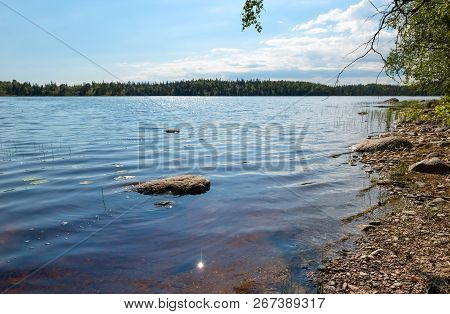 Forest Lake And Vegetation On Anzersky Island, Arkhangelsk Region, Russia
