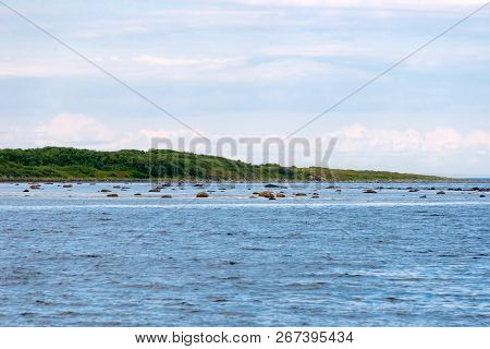 Anzer Island. Solovetsky Islands. White Sea Coast