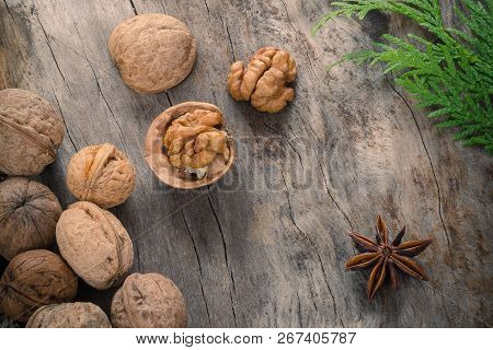 Walnuts Kernels With Colve On Wooden Log.