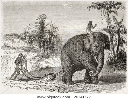 Elefant pløjning gamle illustration, Ceylon (i dag Sri Lanka). Lavet af Therond og Huyot efter