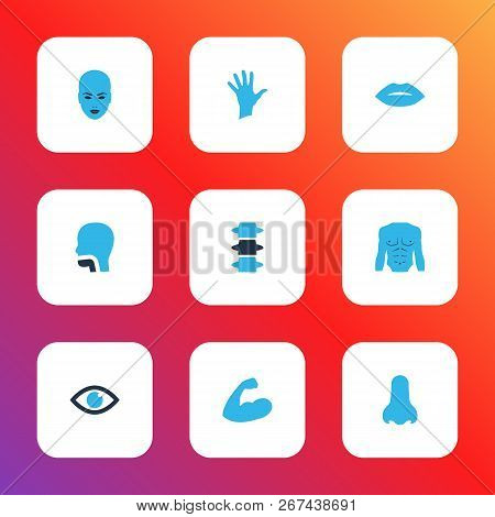 Body Icons Colored Set With Lips, Nose, Eye And Other Smell Elements. Isolated  Illustration Body Ic