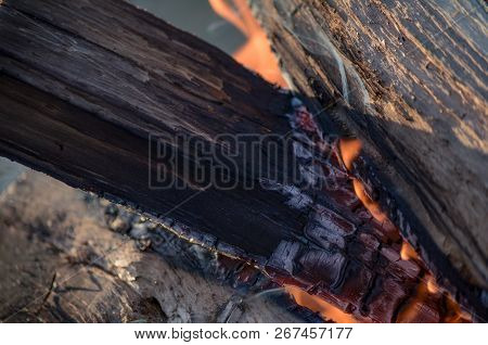 Natural Wood Fire For Bbq, Mangal Fire To Outdoor. Mangal Fire, Nature Fireplace, Nice Hd Real Fire.
