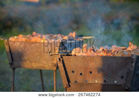 Natural Wood Fire For Bbq, Mangal Fire To Outdoor. Mangal Fire, Nature Fireplace, Nice Hd Real Fire.
