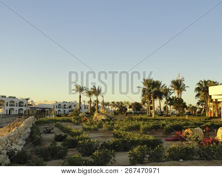 Beautifully Decorated Well-groomed Embankment, With Trimmed Bushes, Flowers, Palm Trees.