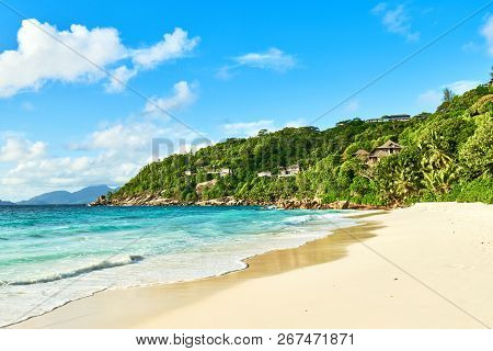 Petite Anse With Coconuts Palm Tree, Praslin Seychelles