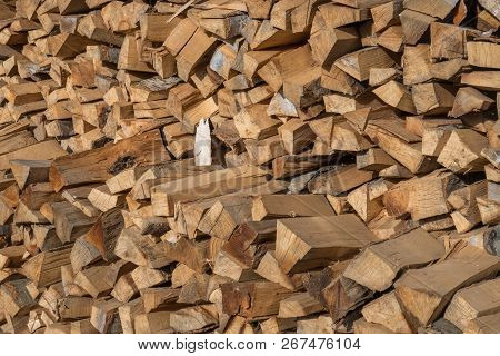 Preparation Of Firewood For The Winter. Firewood Background, Stacks Of Firewood In The Forest. Pile