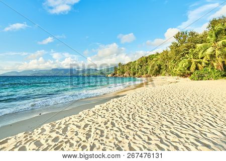 Anse Soleil With Coconuts Palm Tree And White Sand, Mahe, Seyche