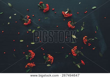 Flat Lay Red Wild Berry Cruit Arrangement, Top View Natural Pattern As Decoration On Black Wooden Ba