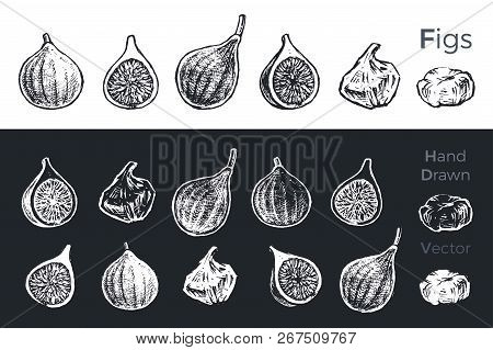Hand Drawn Fig Icons Set Isolated On White And Black Chalk Background. Sketch Of Fruits For Packagin