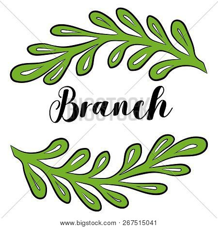 Vector Olive Branch For Your Stylish Design.