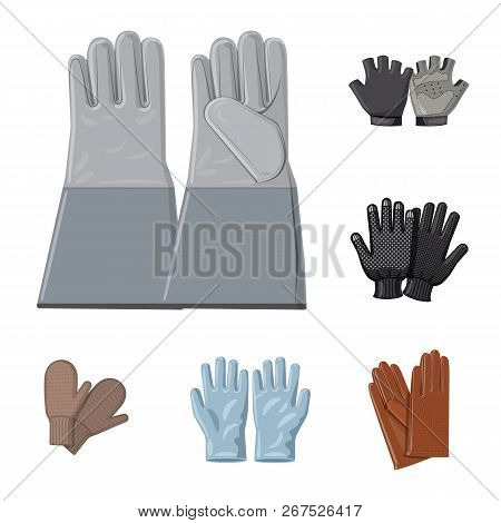 Vector Design Of Glove And Winter Logo. Collection Of Glove And Equipment Stock Vector Illustration.