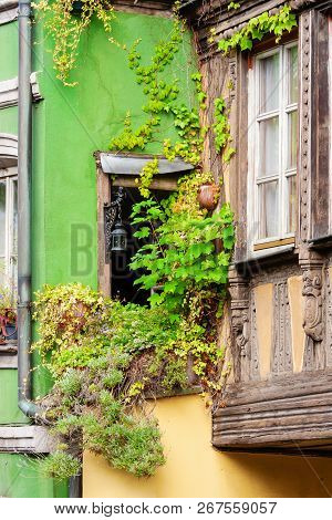 Vine Clad Window Of An Old House In Strasbourg, France
