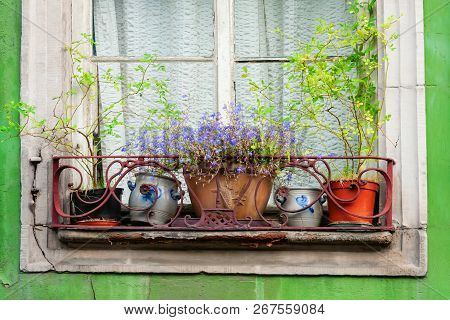 Flower Pots On A Windowsill Of An Old Decayed House